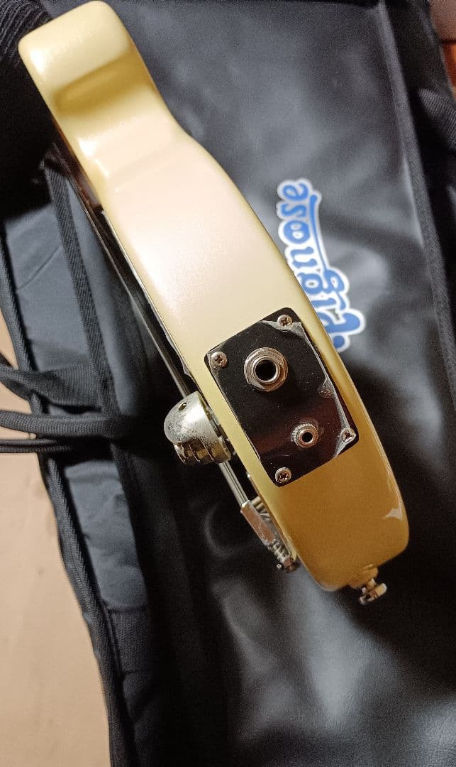 PIGNOSE ピグノーズ アンプ内蔵ミニギター