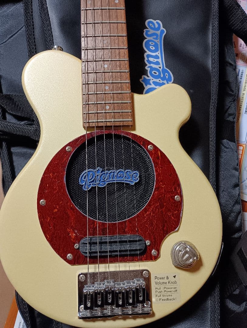 PIGNOSE ピグノーズ アンプ内蔵ミニギター