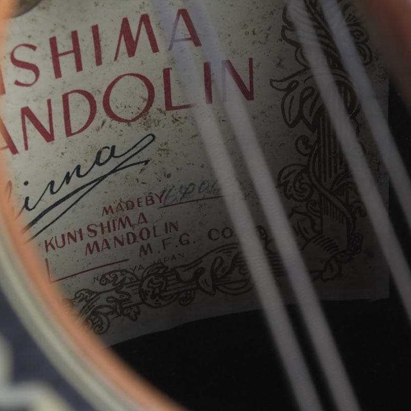 国島マンドリン　NO.103　鼈甲製ピック・弦・ハードケース付　V　9858A