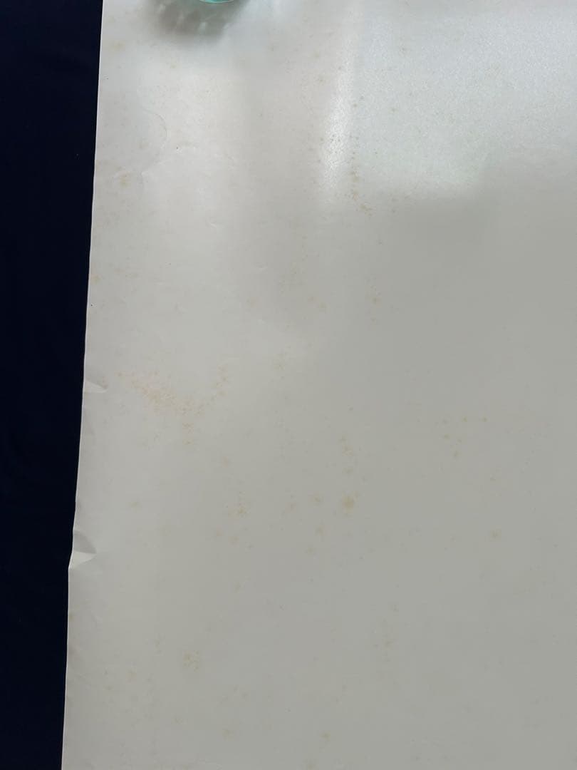 ☆激レア☆B'z☆SURVIVE☆駅貼りサイズ☆超特大B0ポスター☆非売品☆