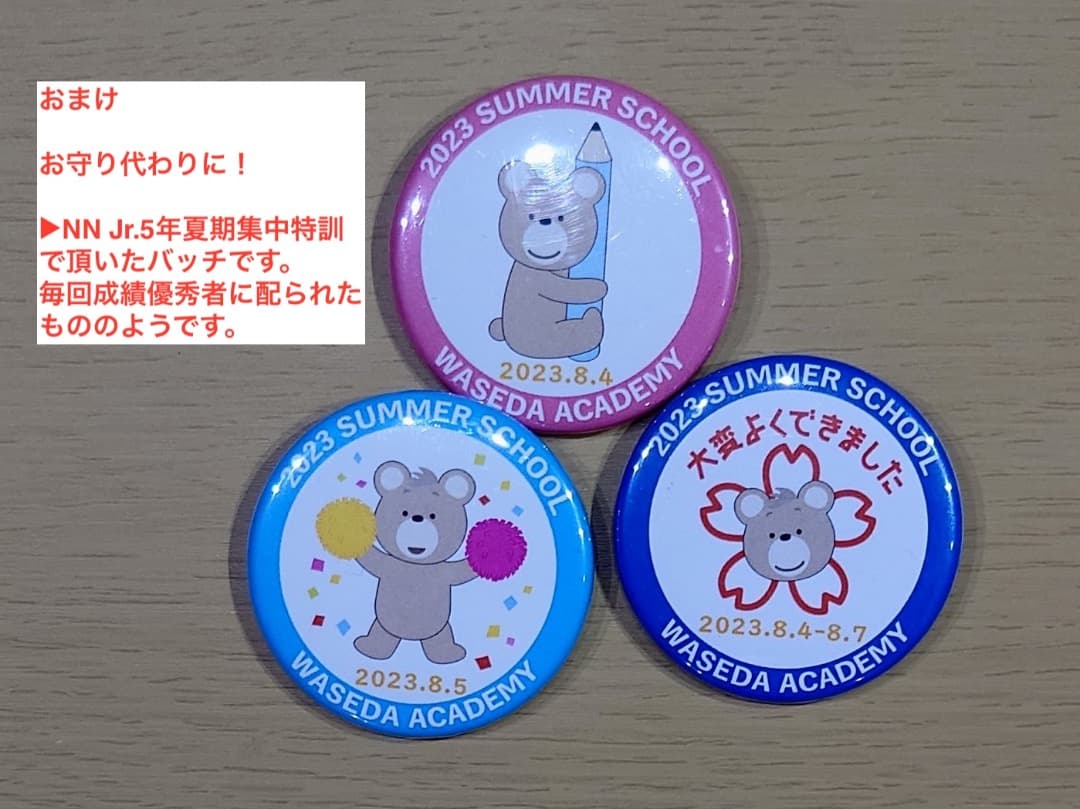 2025年中学受験 NN早実 年間フルセット おまけ6点付 早稲田アカデミー