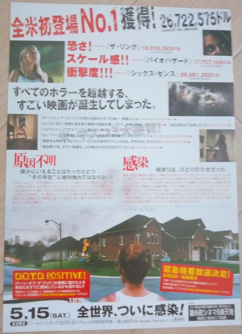 ドーン・オブ・ザ・デッド 映画フライヤー サラ・ポーリー ヴィング・レイムス