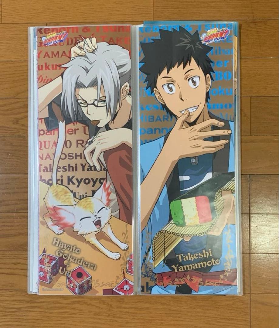 家庭教師ヒットマンREBORN! スティックポスター26枚セット