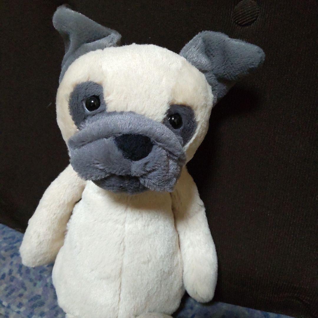  ジェリーキャット パグ 犬