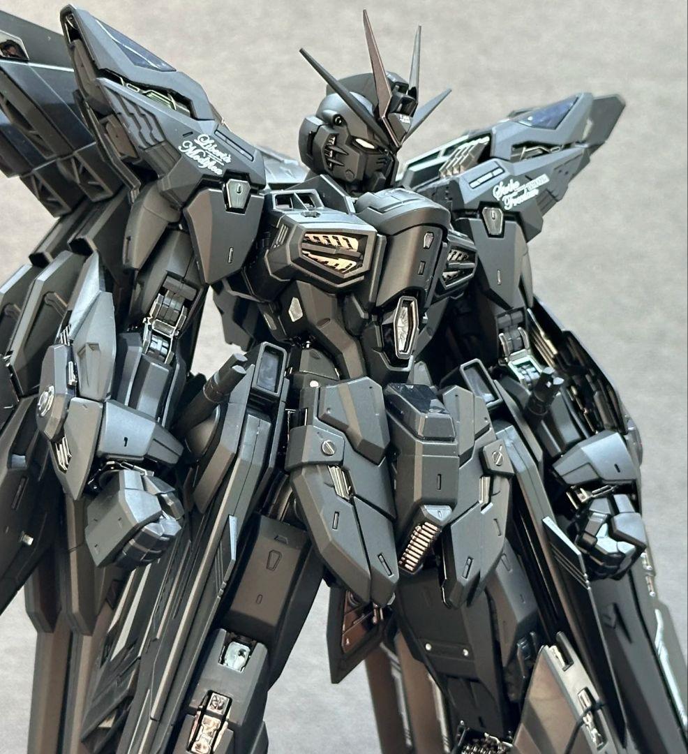 MGEXストライク・フリーダムガンダ- -ミッドナイトコーティング.Ver