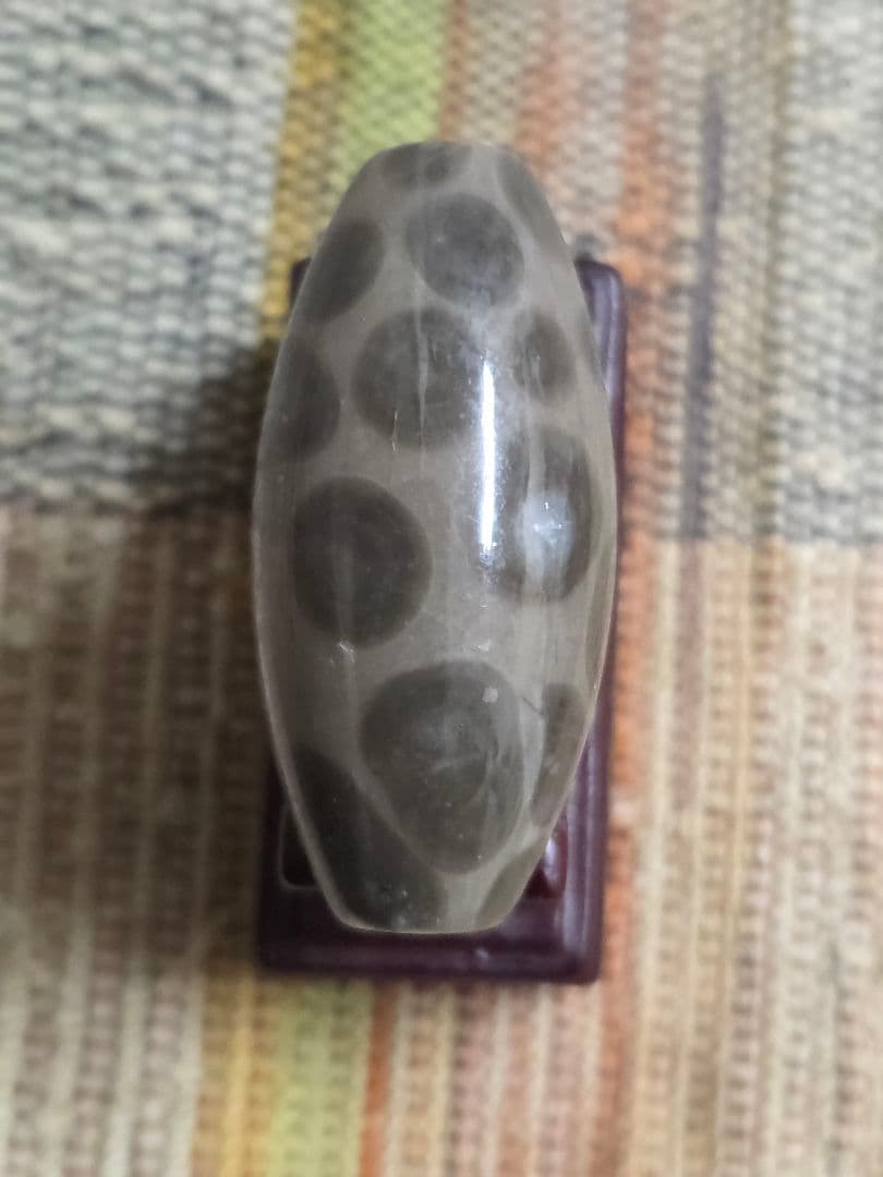 886　天珠　希少　釈迦偉伝　水晶質瑪瑙　西蔵　金剛　仏舎利！