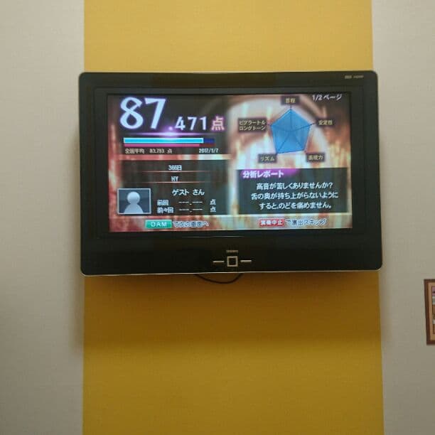 模型、カラオケ用TV