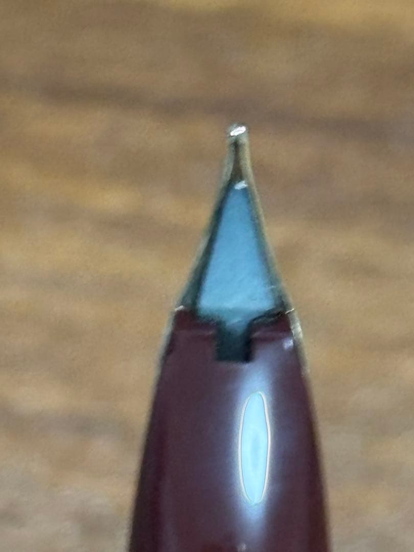 PILOT エリート95s ボルドー 万年筆 14K M