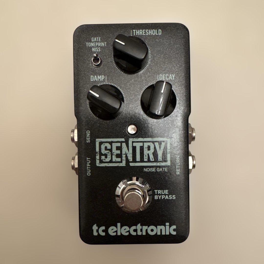 tc electronic SENTRY NOISE GATE 箱付き