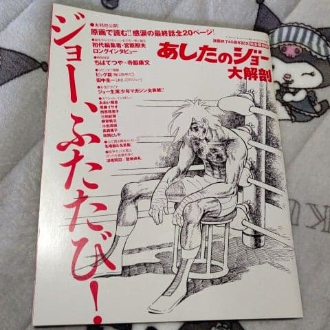 豪華愛蔵版『あしたのジョー』全16巻+オマケ ２冊＋額装非売品ポスター