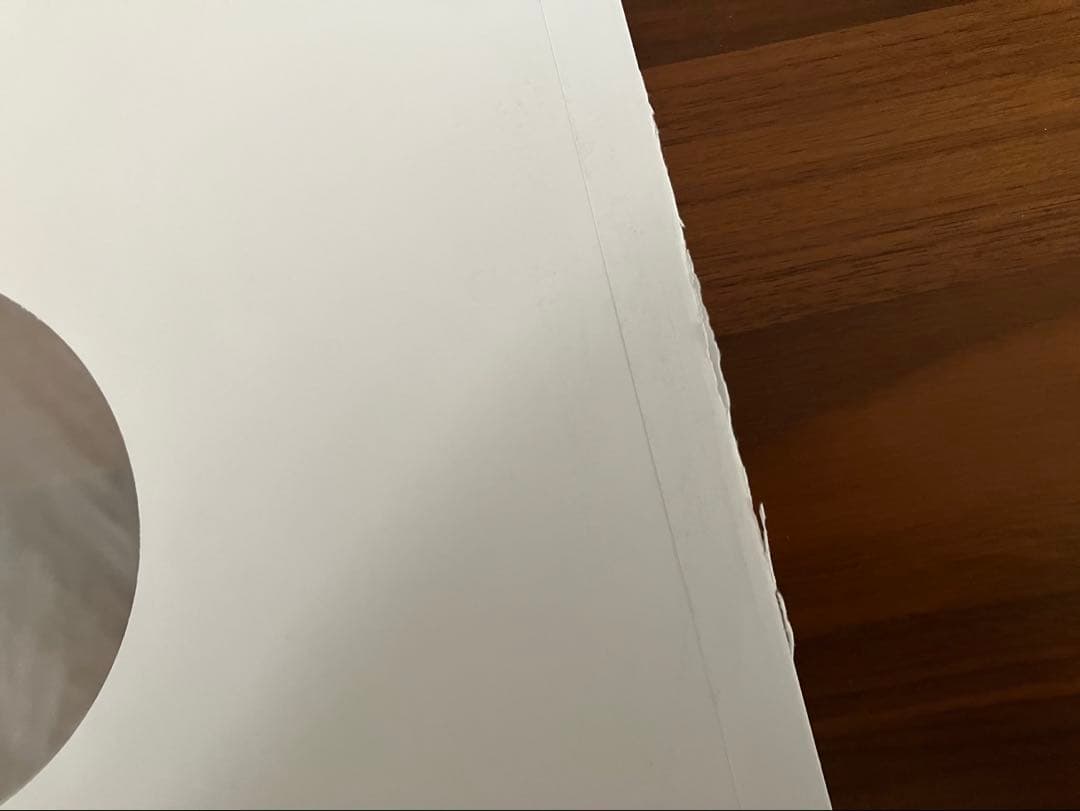 フォレスト・ガンプ Forrest Gumpサウンドトラック180g重量盤美盤