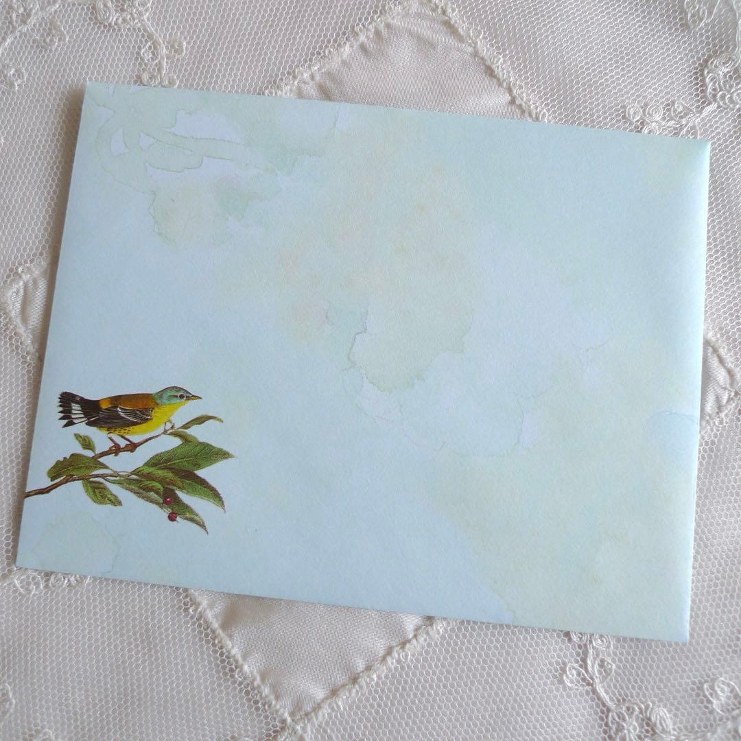 【くまはな様】C40 キャロルウィルソンのカード3枚セット(1,980)