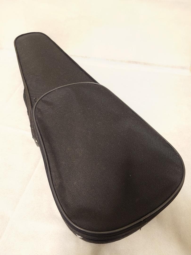 【送料無料】バイオリン 4/4 大人用 Allan Drexcell No.AE