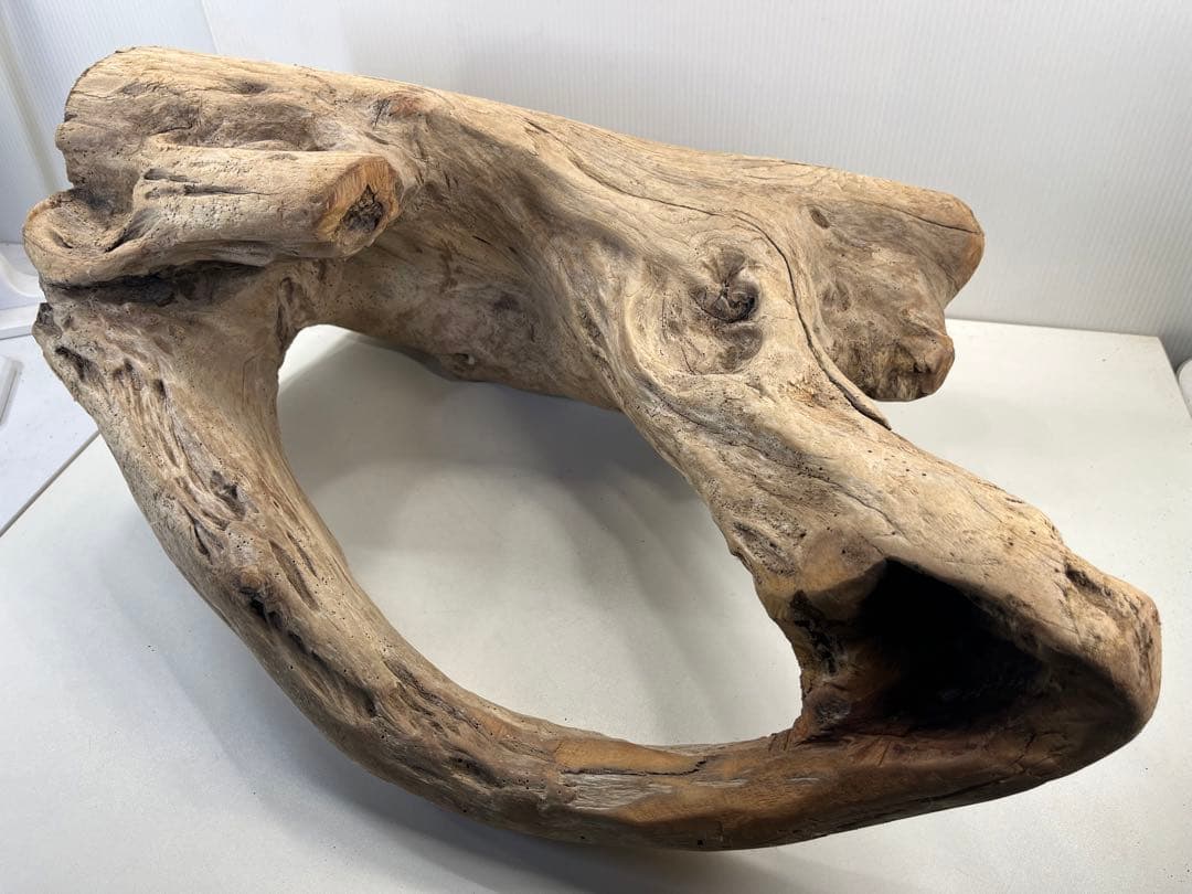 m10特大流木 アク抜き済み 爬虫類シェルター 登り木 インテリア オブジェ