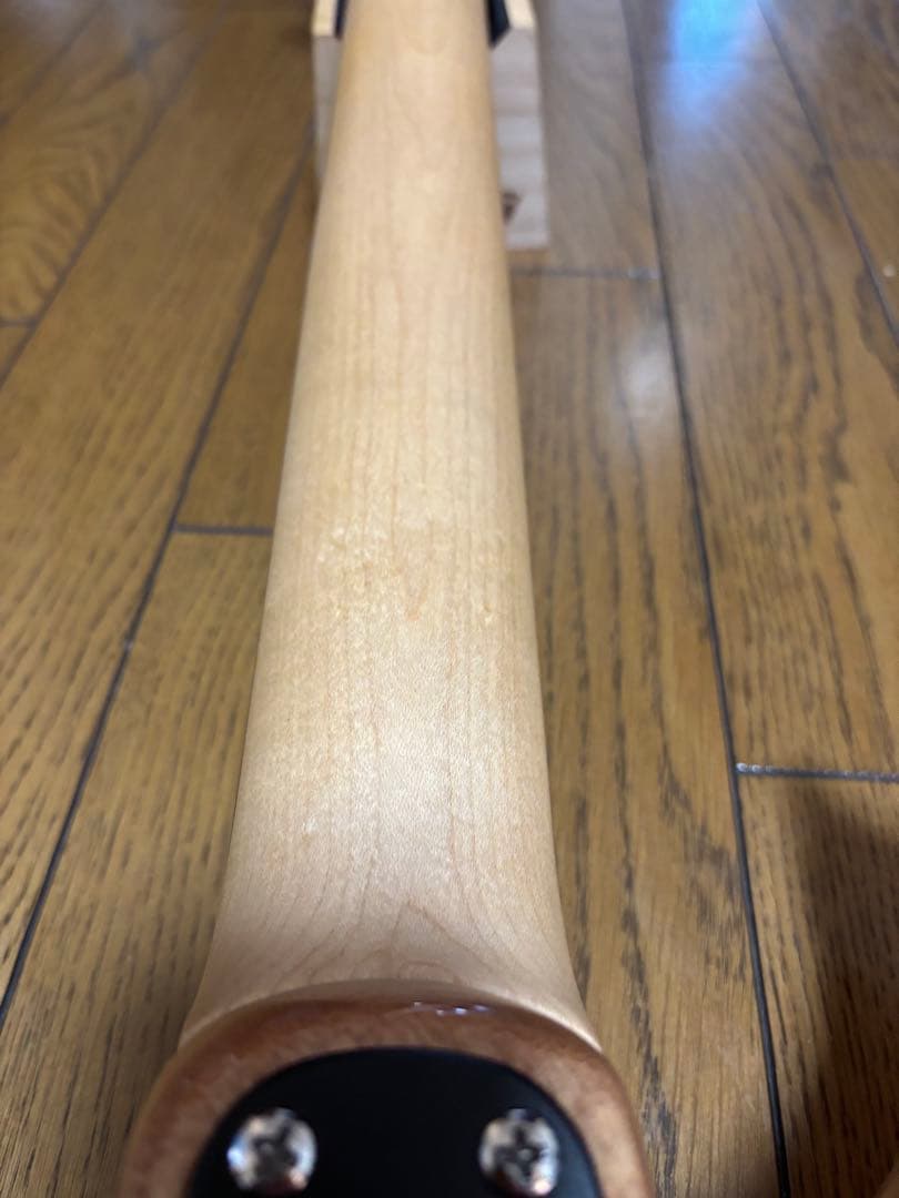 ギター PRS Paul Reed Smith SE CE