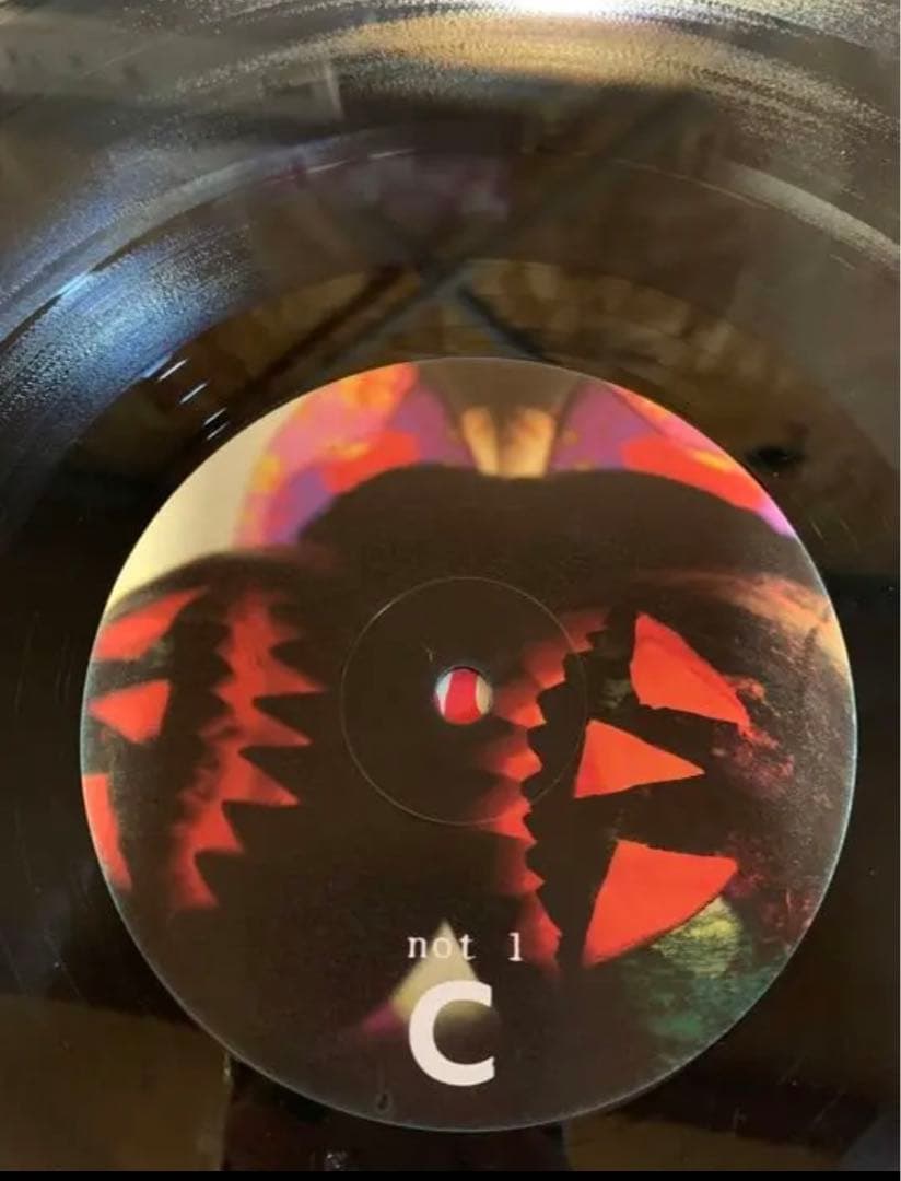 Sonic Youth Walls Have Ears レコード