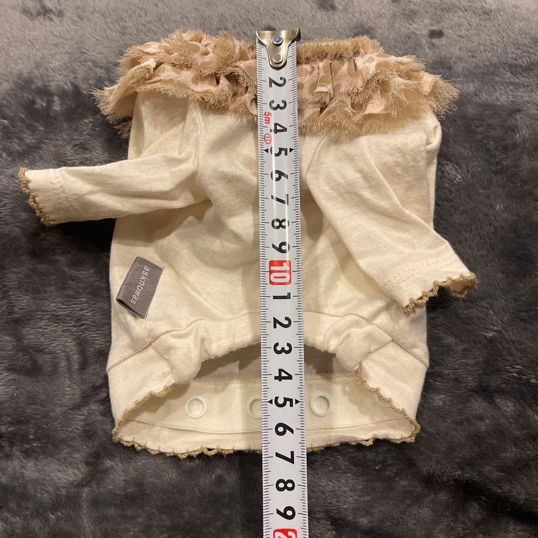 As know as de wan チュール襟シャツ2枚セット