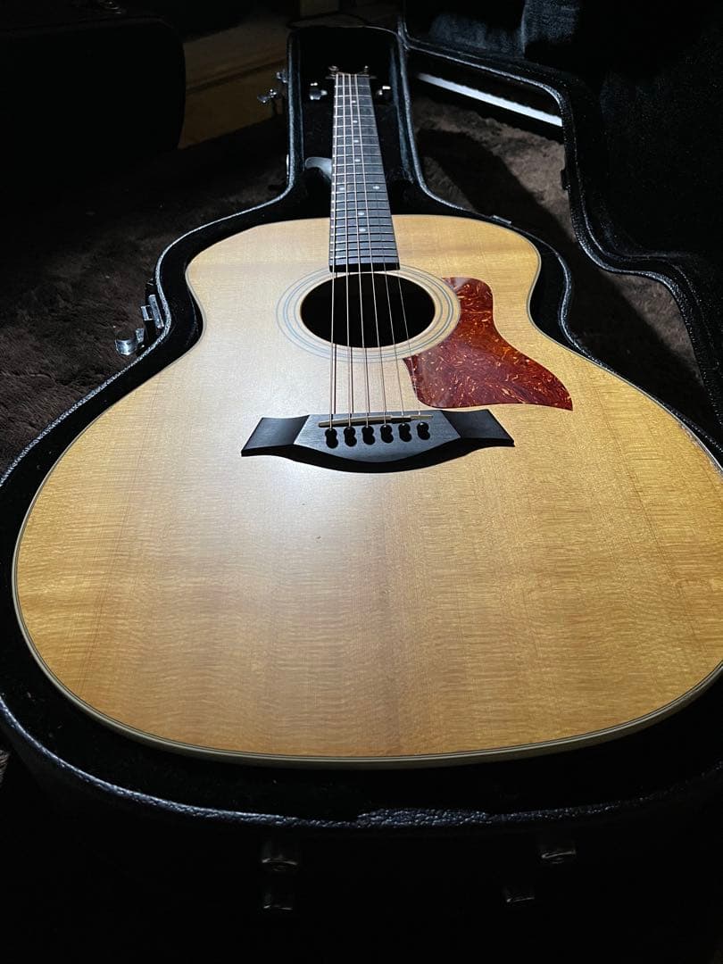 Taylor 214　ハードケース付き
