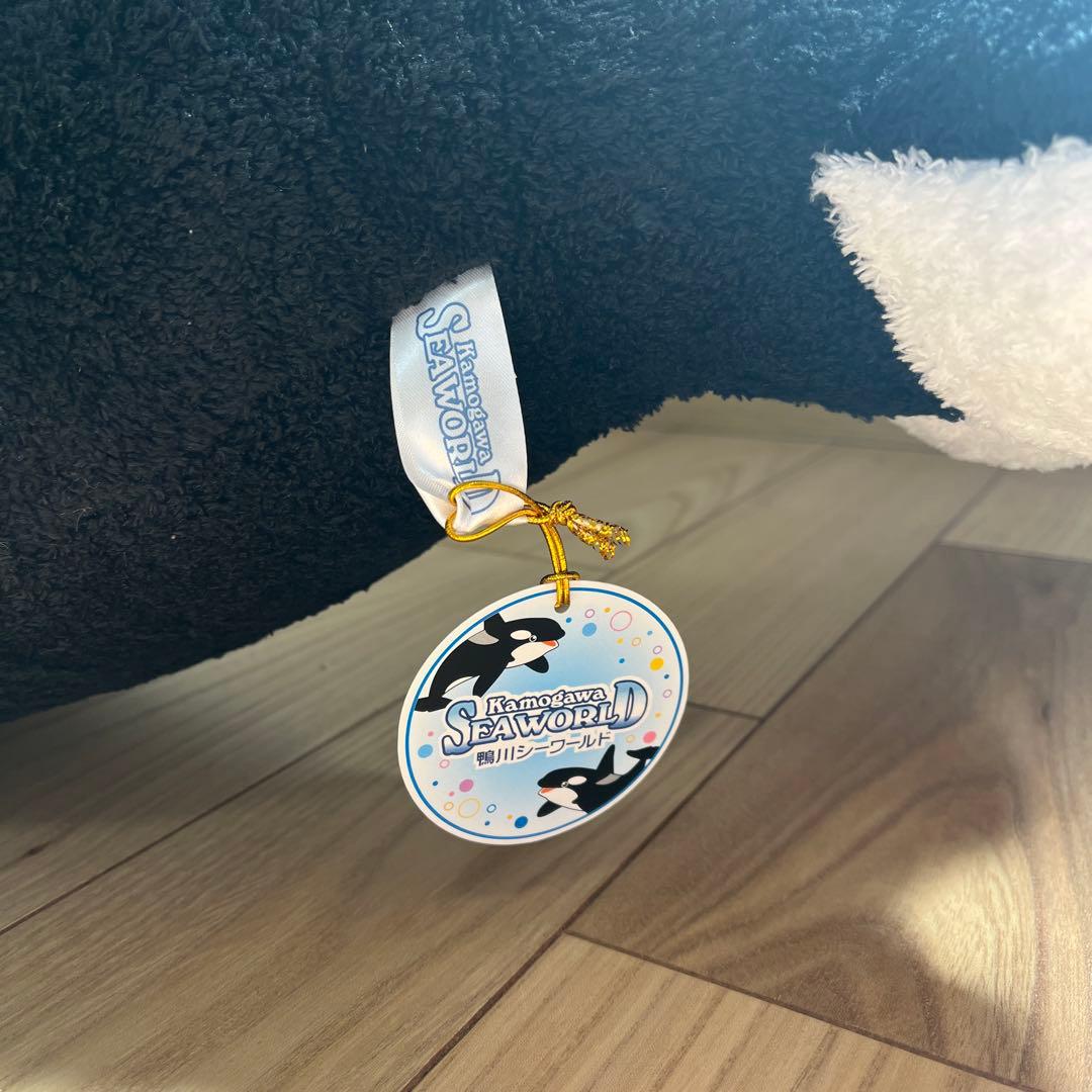 鴨川シーワールド シャチぬいぐるみ