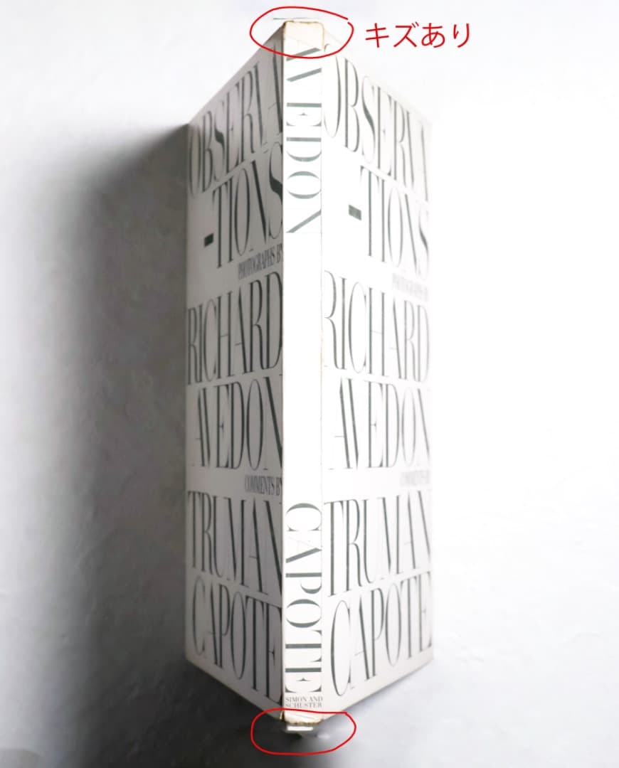 OBSERVATIONS リチャード・アヴェドン 写真集