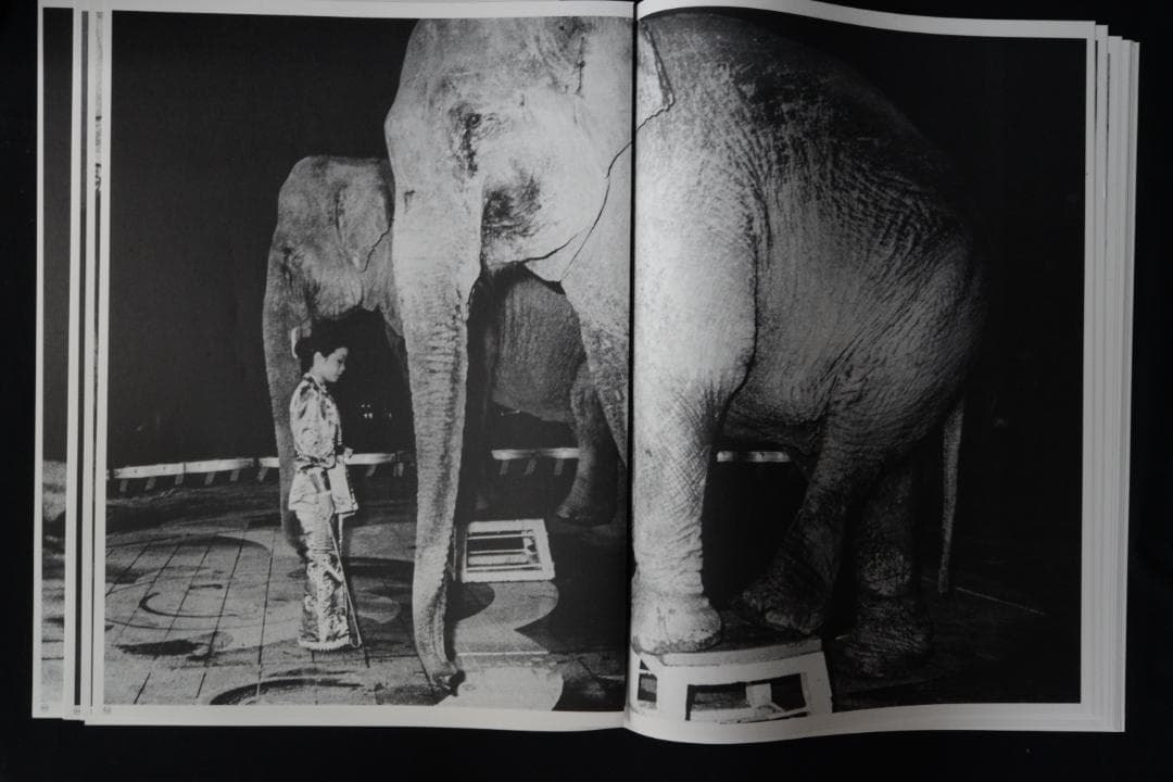 【Daido Moriyama Vintage Prints：森山大道】