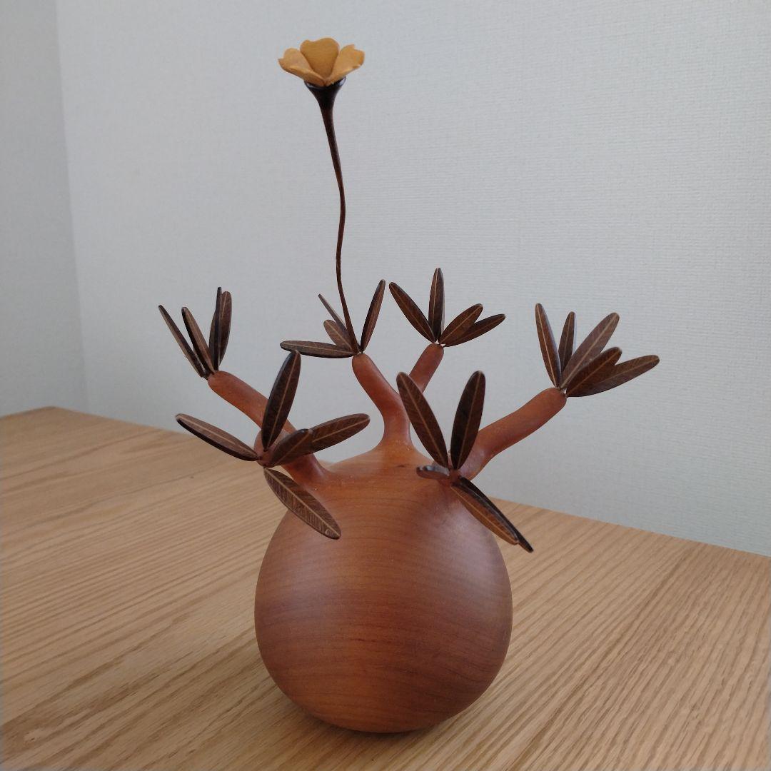 N*I様 落札キャンセルによる再出品 MOCMOC グラキリス　木製　枯れないグ