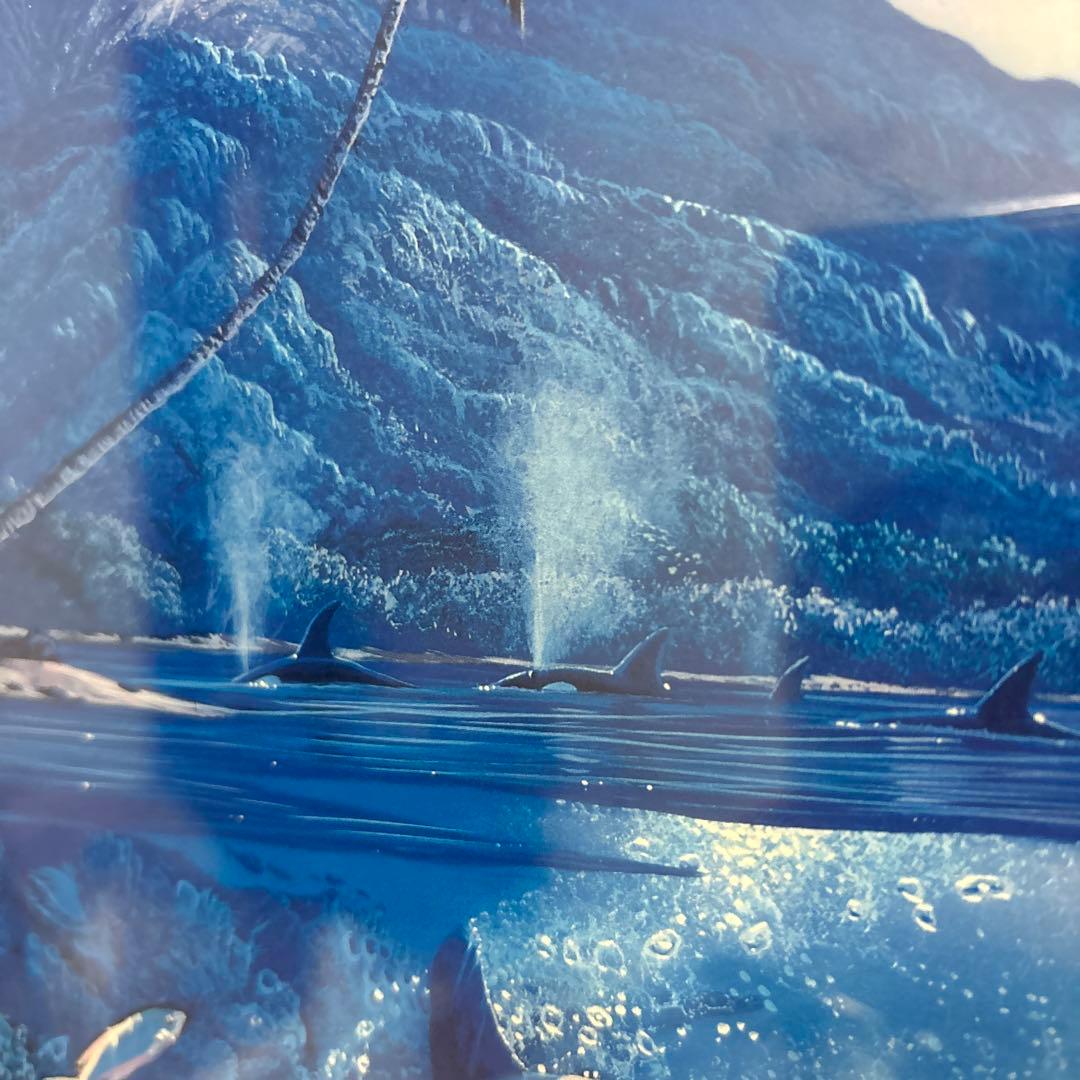 クリスチャン・リース・ラッセン　ハーモニー　額装　ポスター　イルカ　海　マウイ