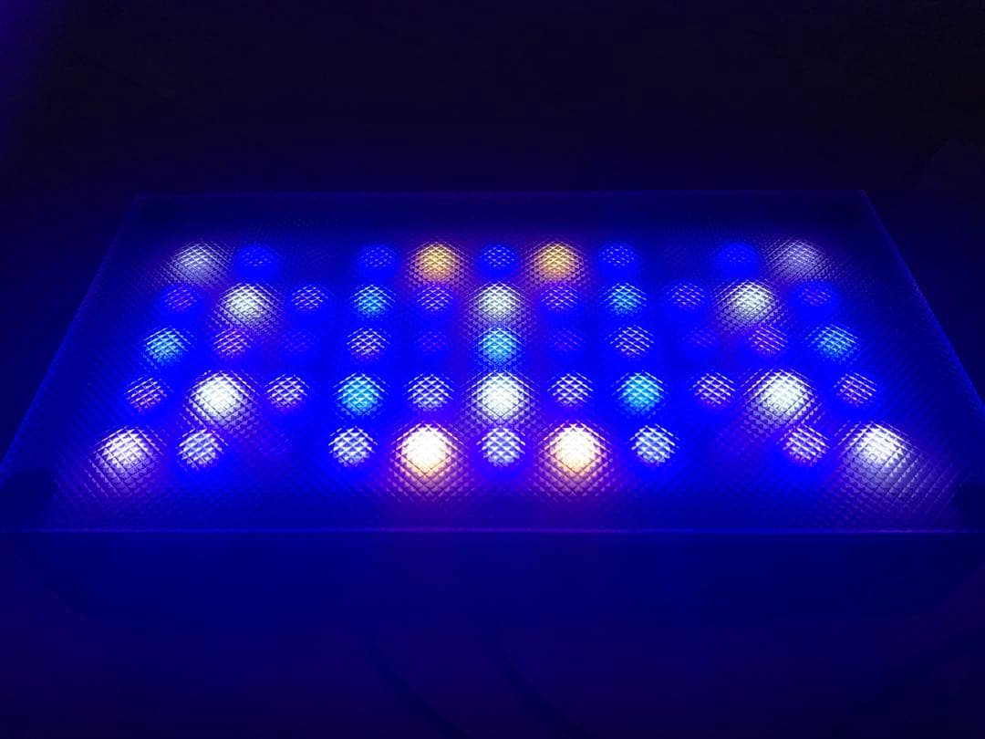 水槽　ライト　サンゴ飼育　ブラックボックス