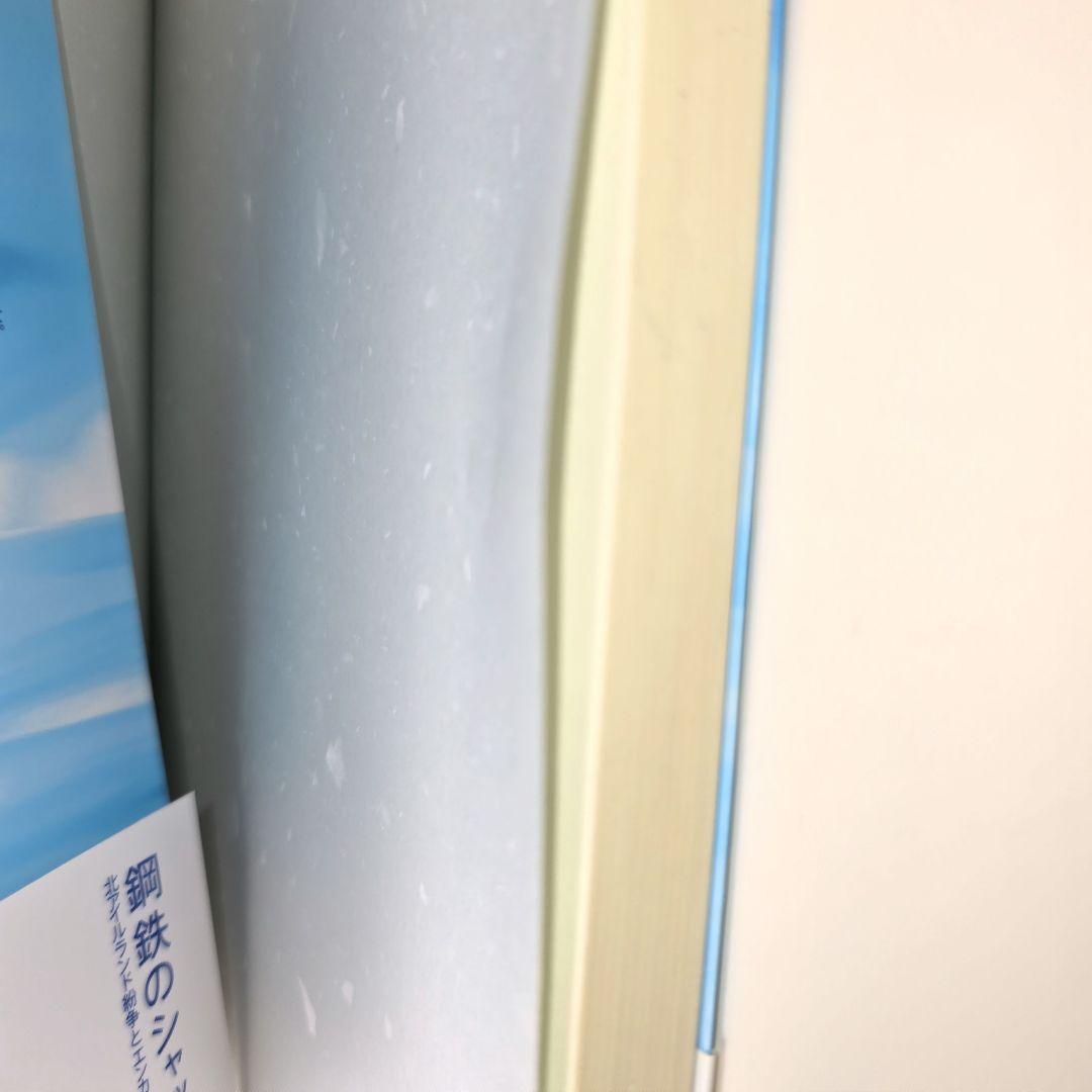 鋼鉄のシャッター 北アイルランド紛争とエンカウンター・グループ カールロジャーズ