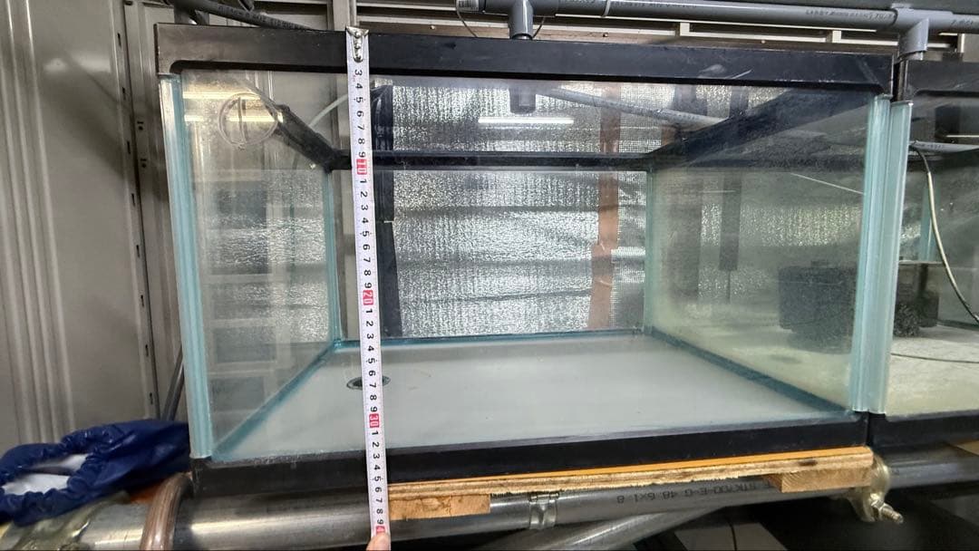 【超希少】業者用 特注大型60×40×36水槽 86L 排水バルブ付き ②