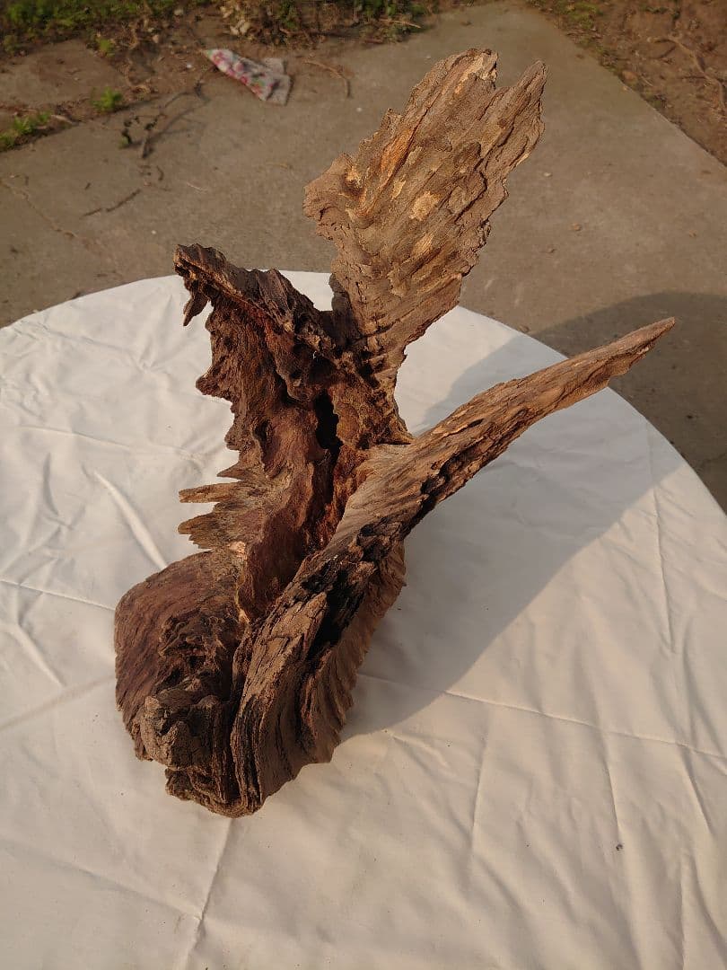 アクアリウム・テラリウム向き流木枯木