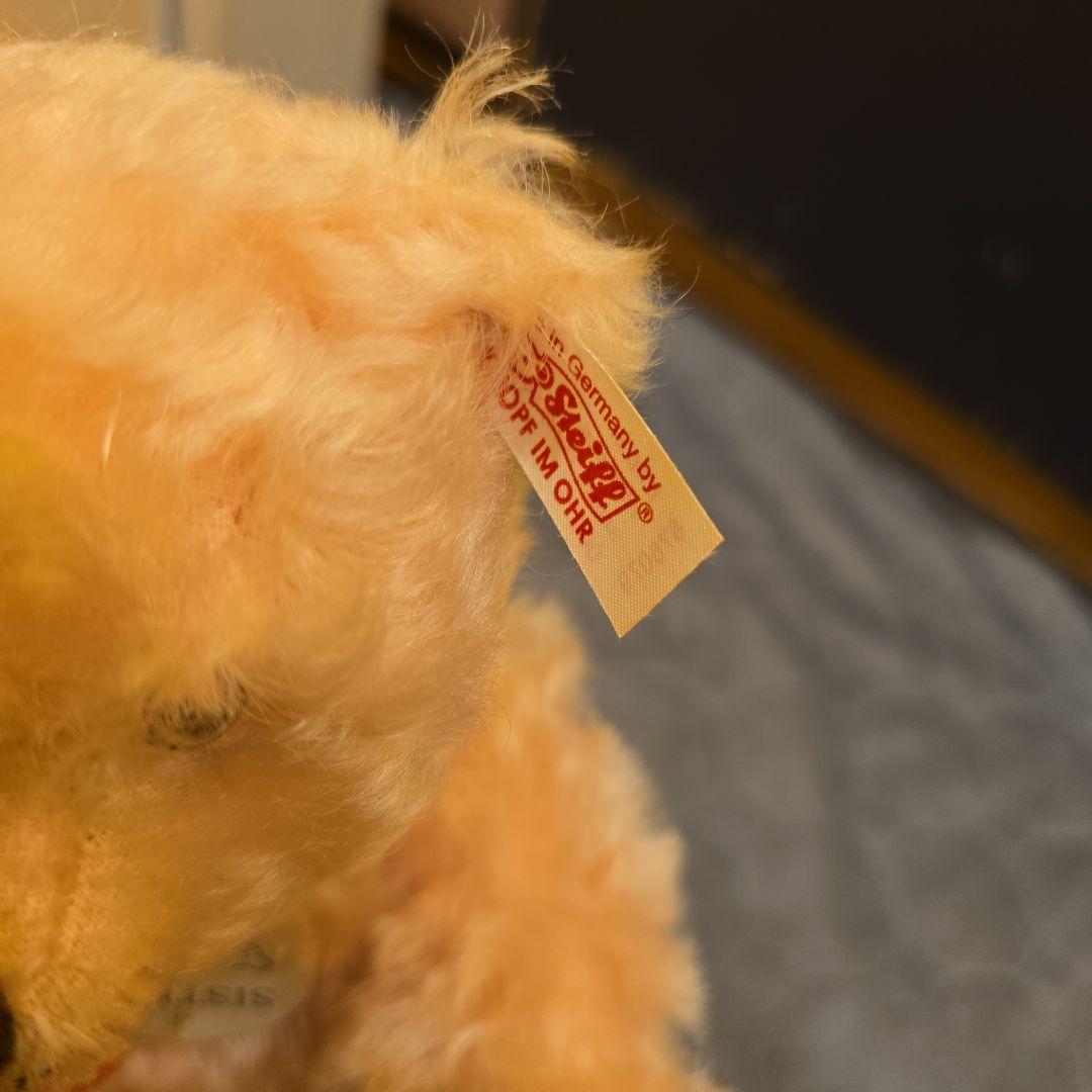 Steiff Sister Bear 花束付きテディベア