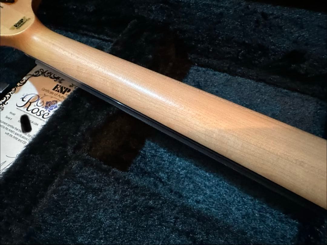 ESP BTL ROSELIA LISA バンドリ 今井リサ