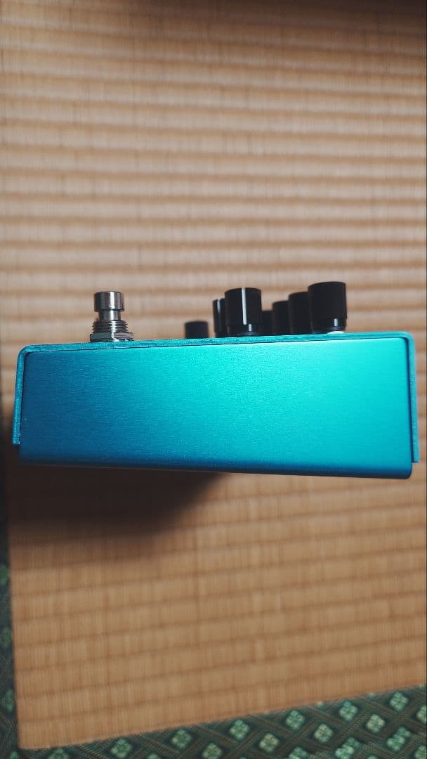 【美品 マジックテープ痕なし】strymon Mobius