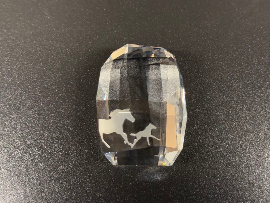 スワロフスキー 2009年 ワイルドライフ 希少な野生動物 ゴリラ SCS限定