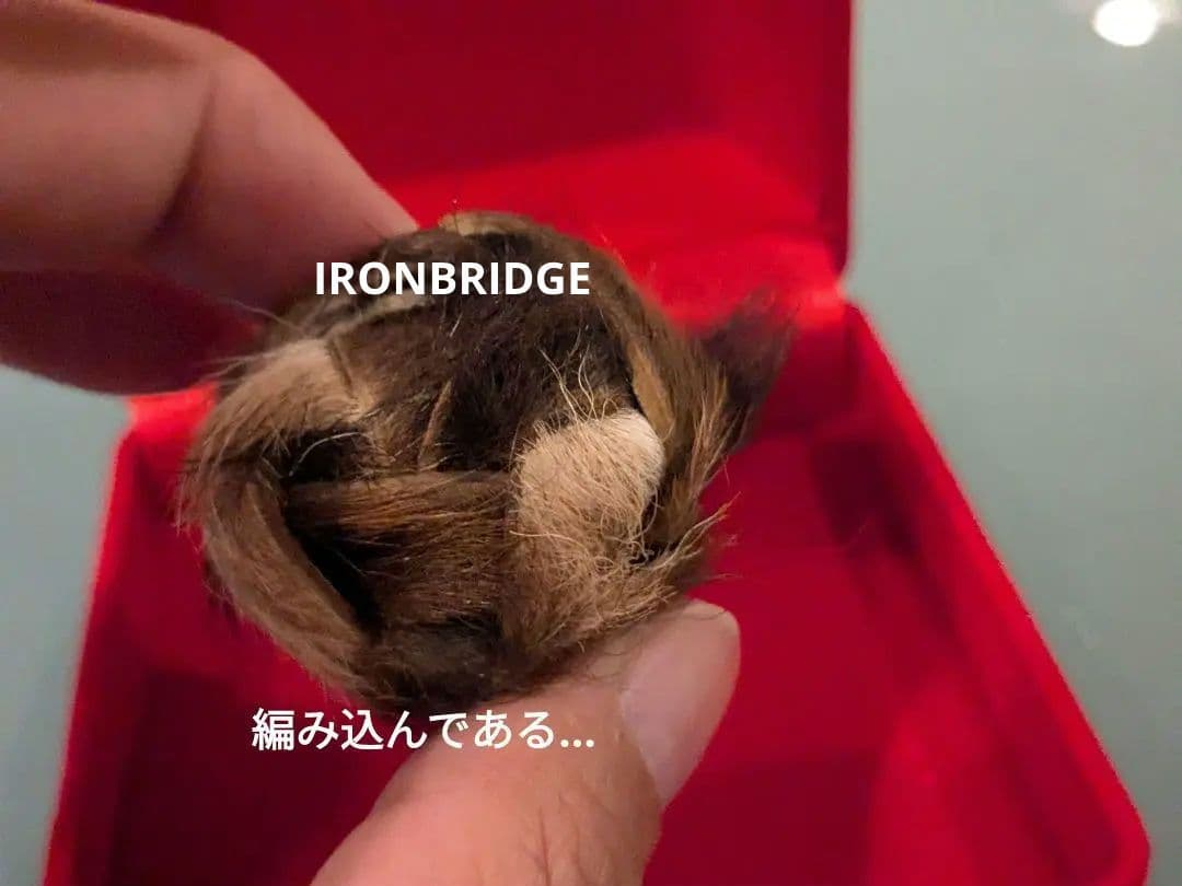 【激レア！】タイのお守りプラクルアン！タイガーアイ？箱付き！幸運&金運アップ！