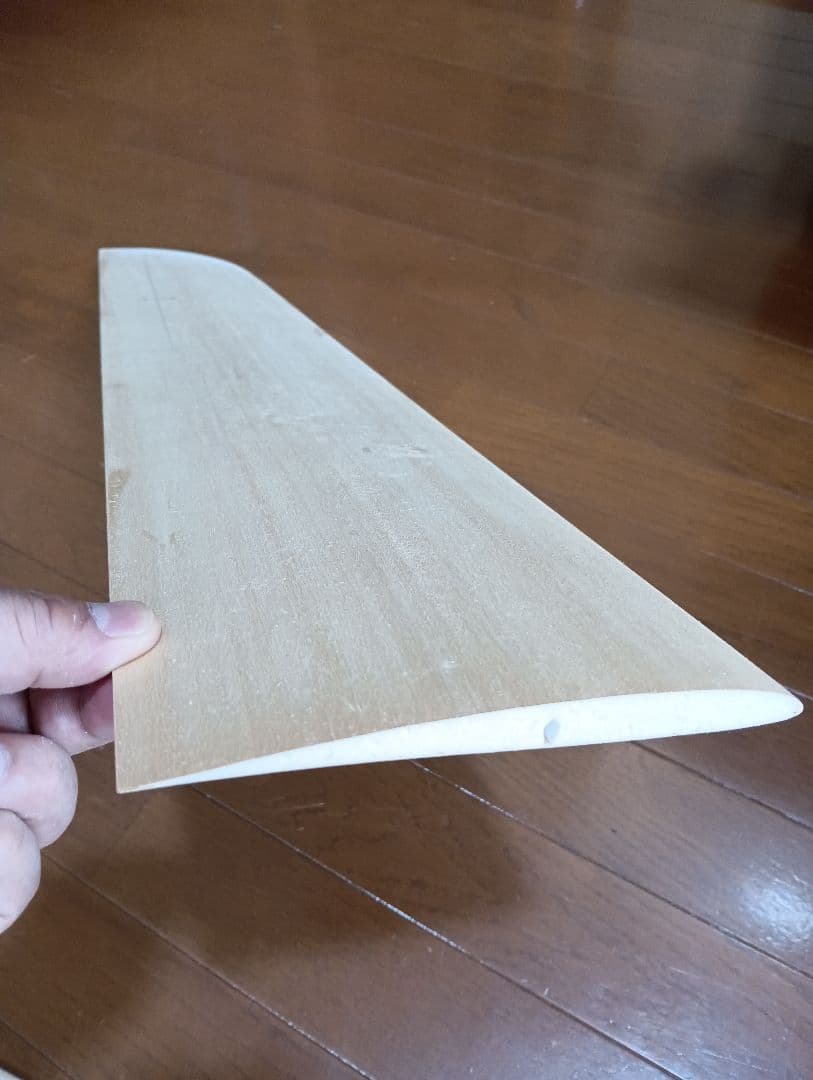 ラジコン飛行機（ポーランド製）ELSTER 競技用HLGグライダー