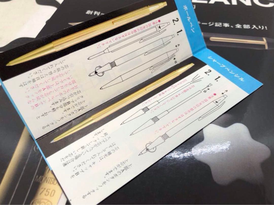 ⭐️金運アップ頂点の総プラチナ張り⭐️No1957レアな初期型S&S⭐️モンブラン社⭐️