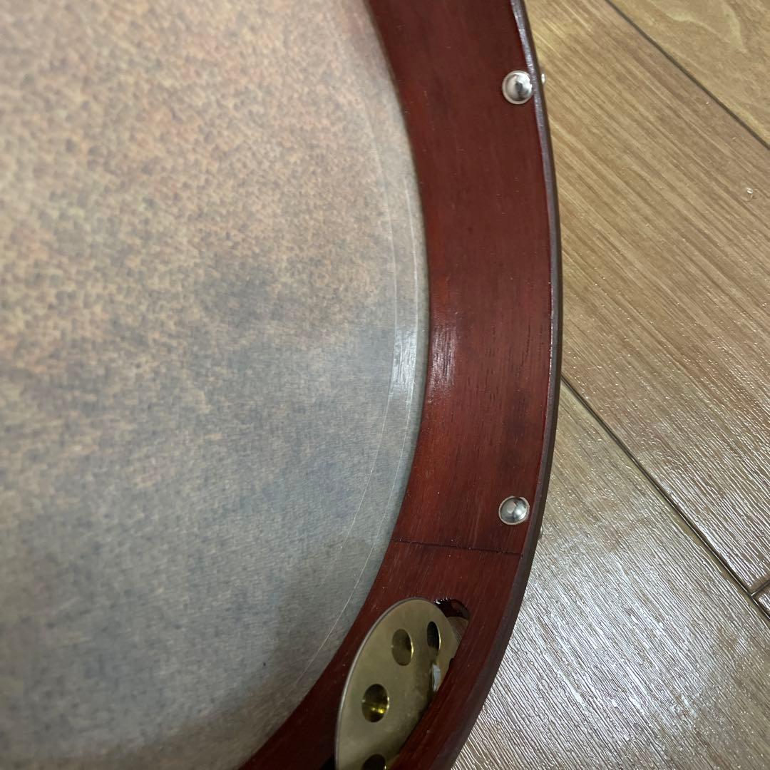 【REMO】ショーロ・パンデイロ PD821081113