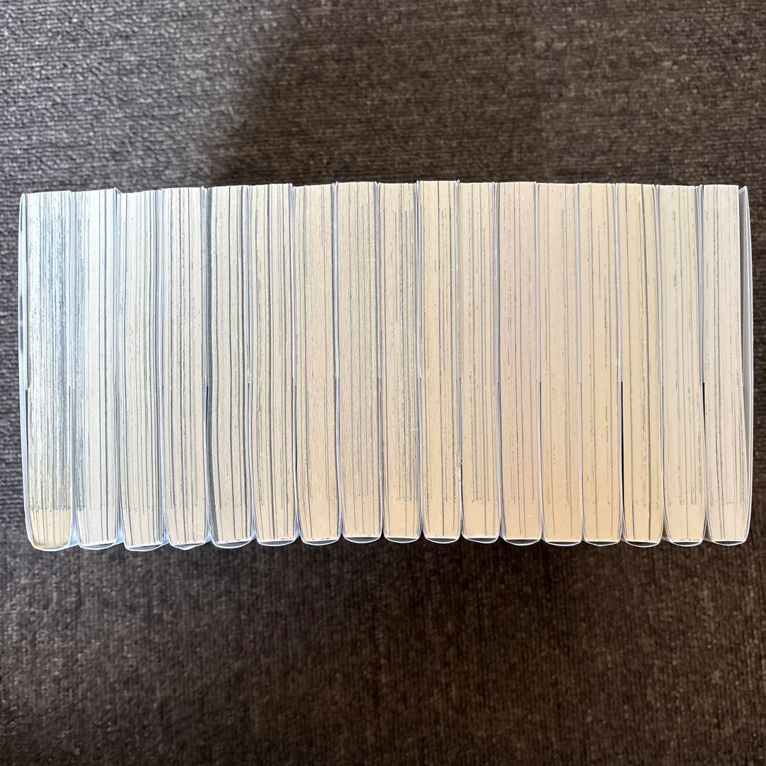 【最終値下げ】紛争でしたら八田まで 1〜17