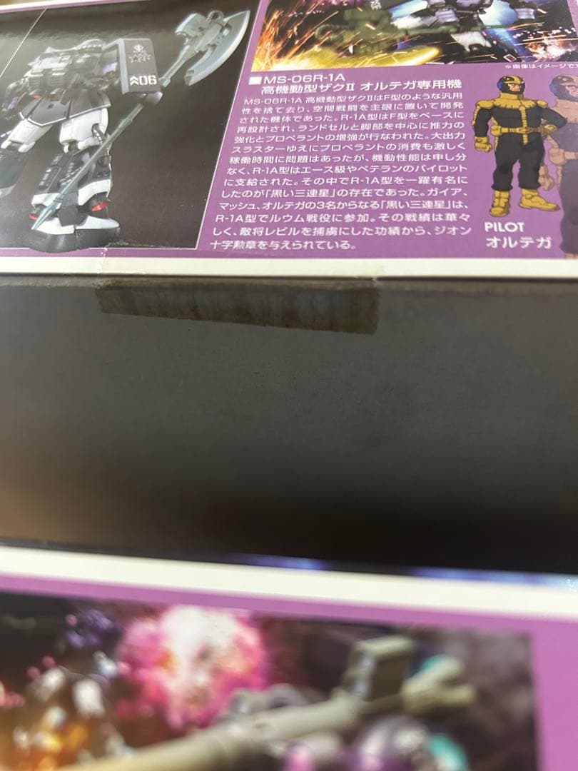 Zaku II 高機動型 2個セット　オルテガ　ガイア(マッシュ)