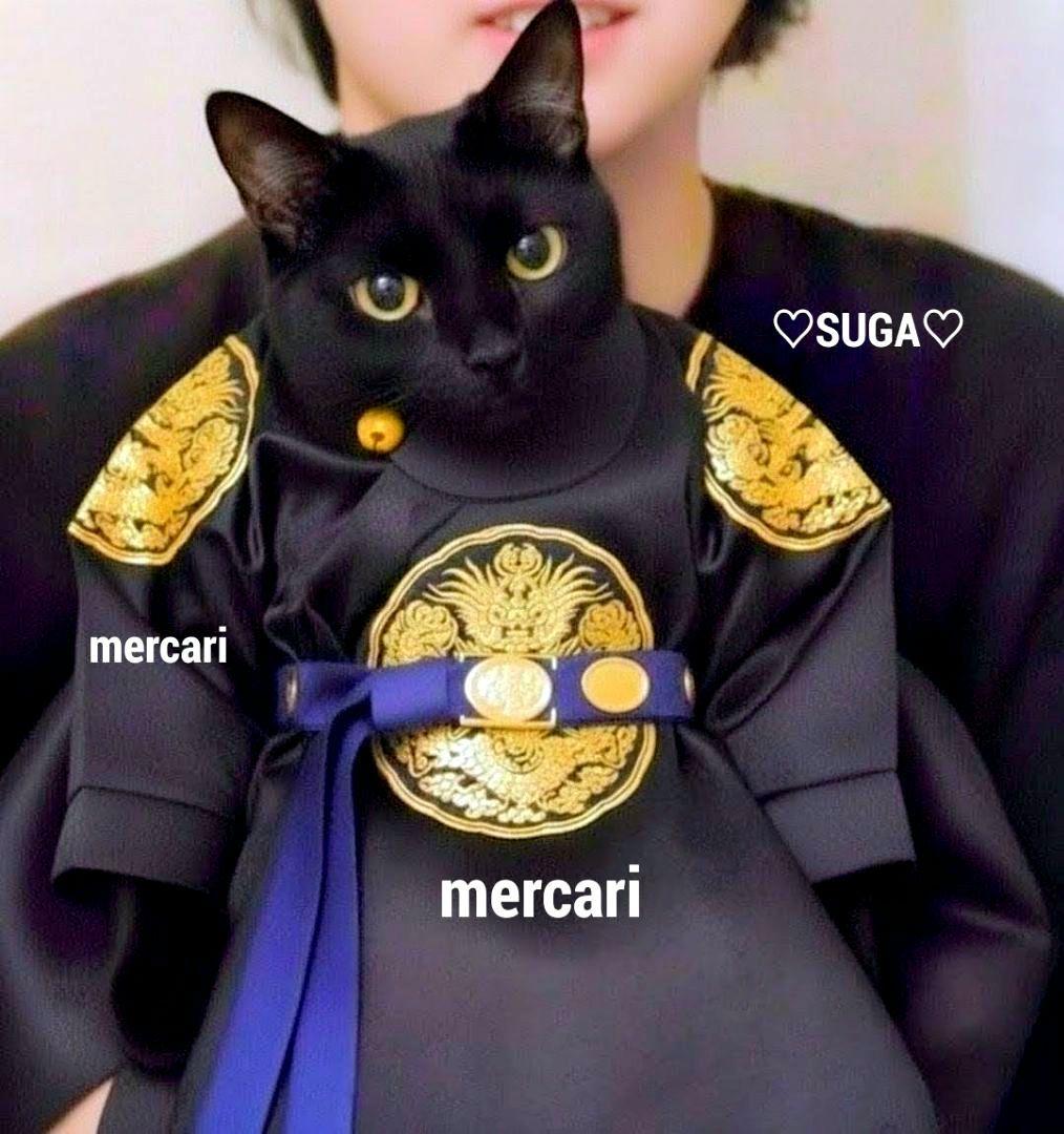 BTS ぬいぐるみ 10cm SUGA AgustD ユンギ テテ ジン ジミ