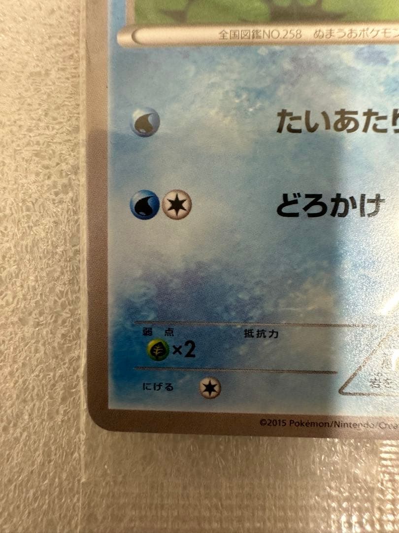 ミズゴロウ、コンビニ購入キャンペーン 未開封プロモ