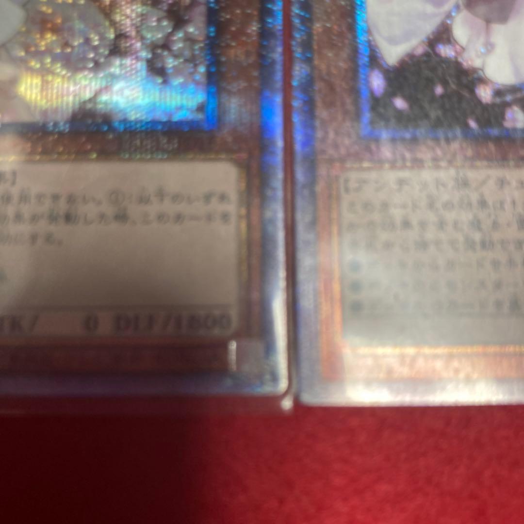 遊戯王OCG 灰流うらら 3枚セット　プリズマ