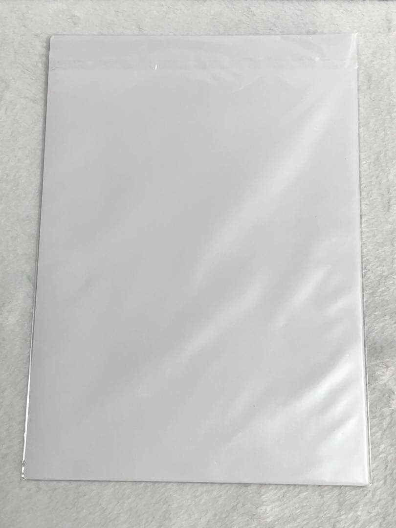 聖闘士星矢　スタジオザルツウェルツ A4 原画ポスター　アクエリアス　カミュ