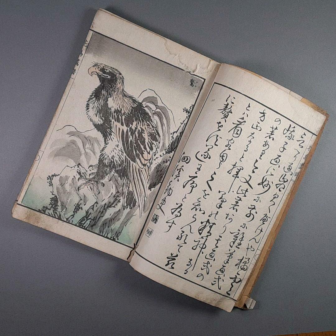 明治15年‥橘雲峨　花鳥畫譜