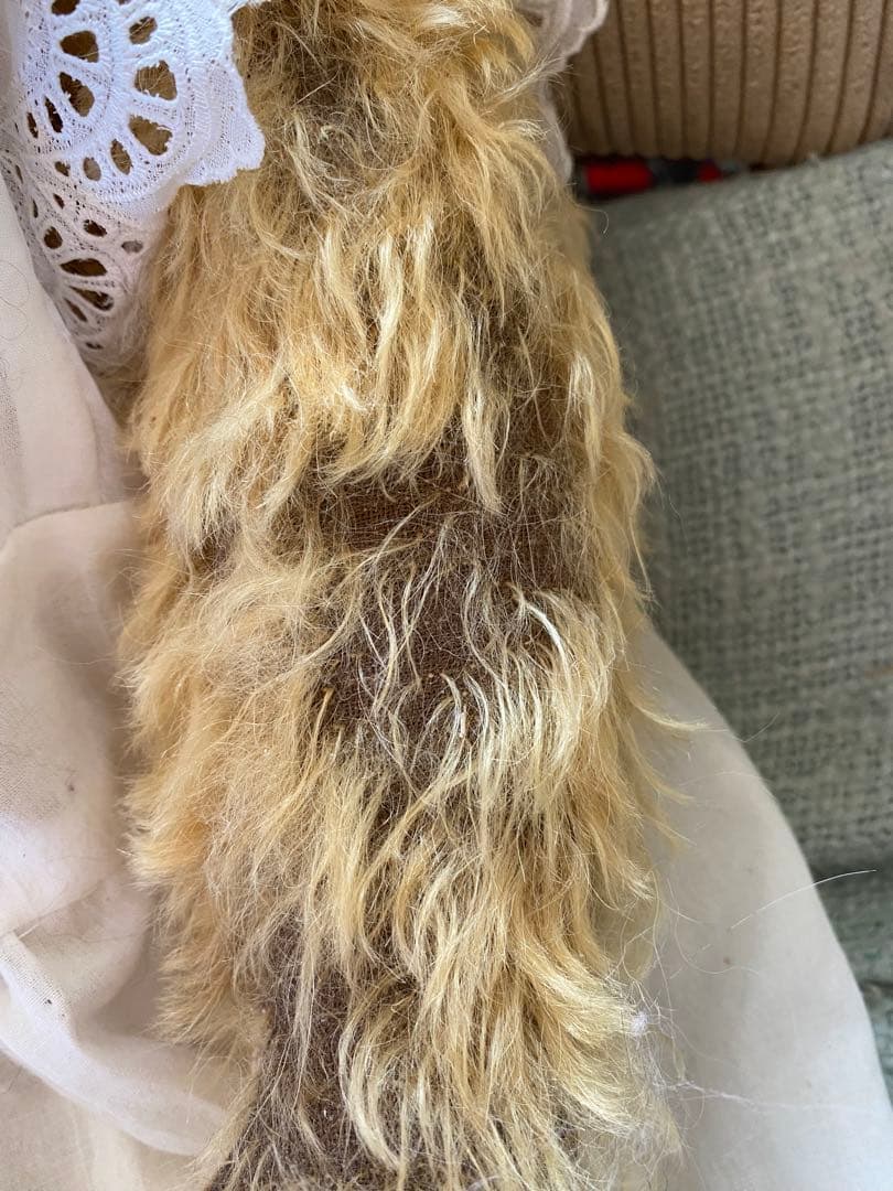 美品フォーゲットミーノットアリスさん製作50cm