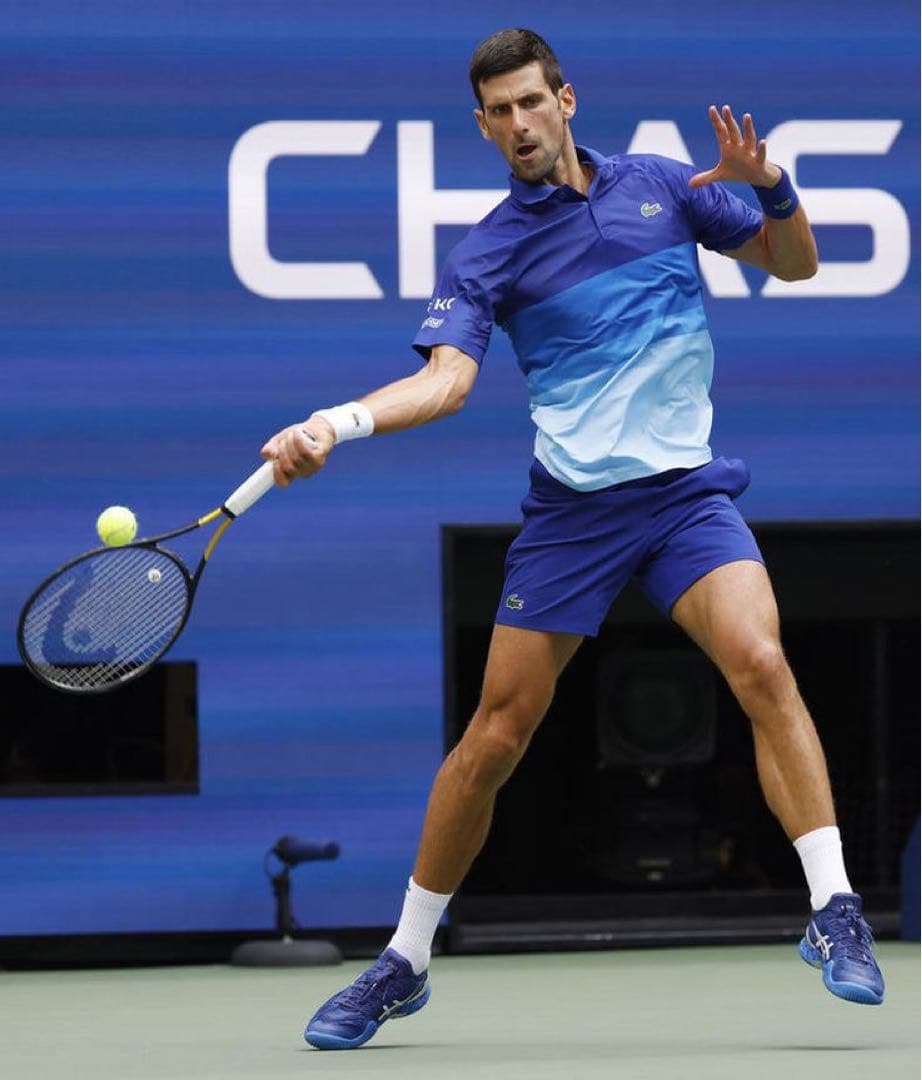 asics テニスシューズ COURT FF NOVAK 27.5 cm