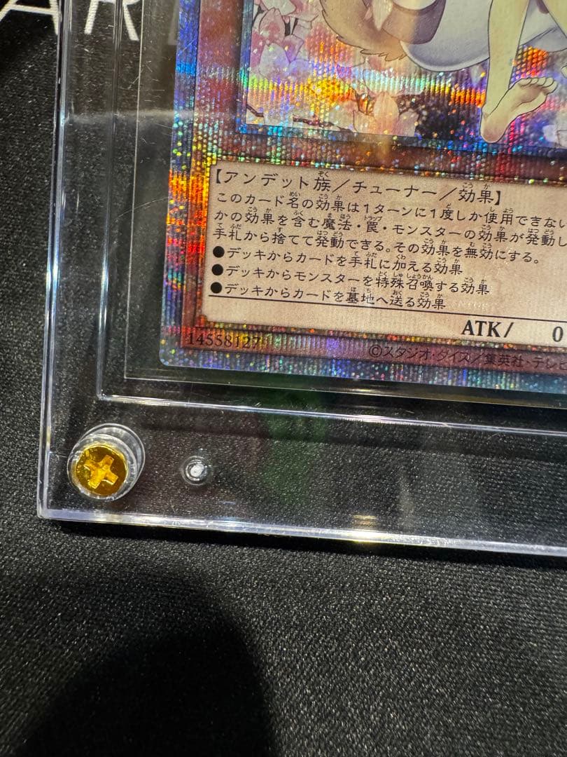 灰流うらら 絵違い 25thクオシク スクリューダウン付き