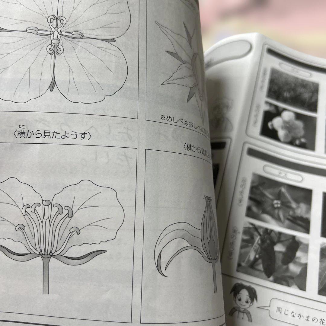 ㉔や　サピックス　SAPIX 3年生　テキスト　フルセット　教材